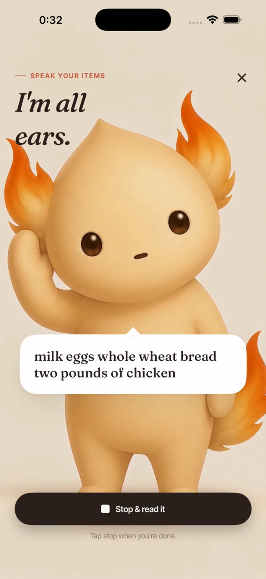 Speaking groceries into Tumsy